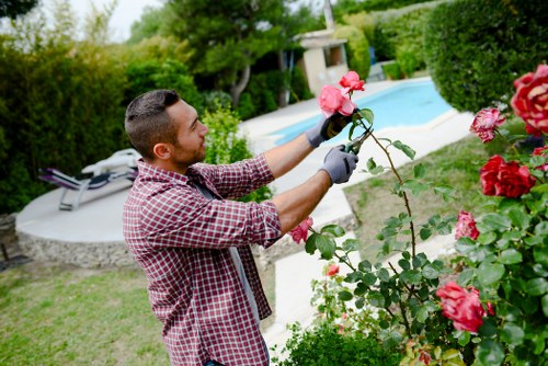 Front view of a residential garden with trimmed hedges and a gardener in the distance