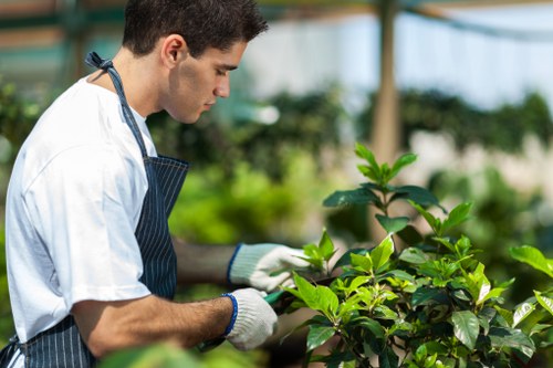 A gardener demonstrating tool use on a Pinner garden bed with clear labels
