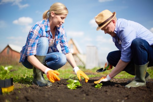 Gardening team discussing a quote outside a suburban property